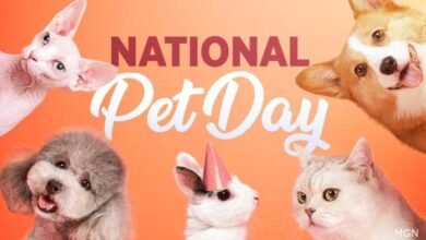 National pet day 2024
