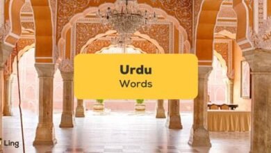Beautiful Urdu Words