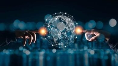 Trendzguruji me seo Review