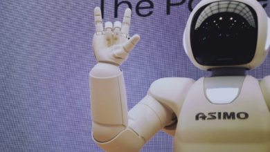 clean science and technology share price