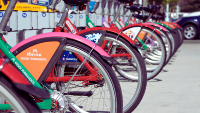 Axis business cycle fund