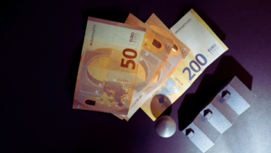 Government subsidy loan for business