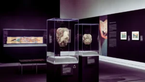 Museum of Jurassic Technology